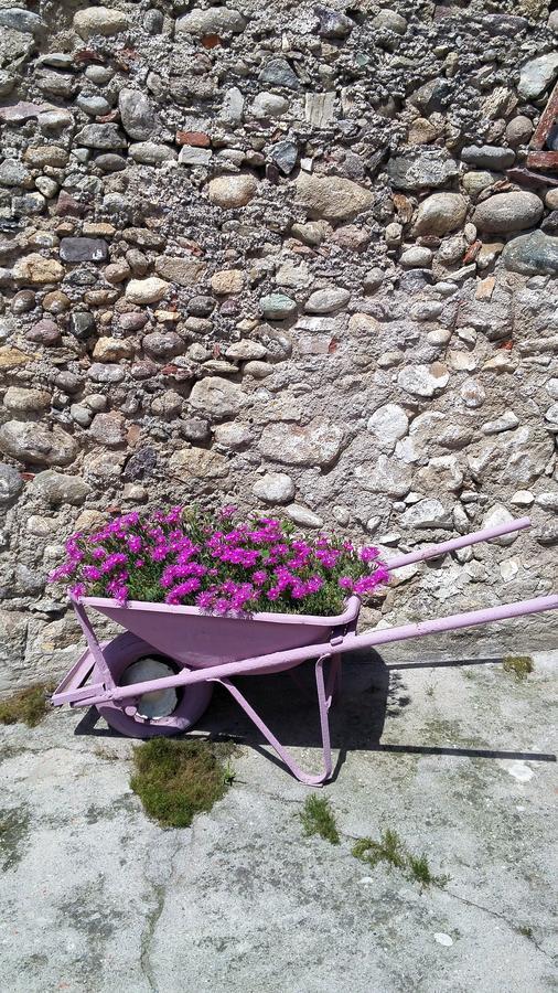 Vicolo Del Nido Bed & Breakfast Paderno Franciacorta