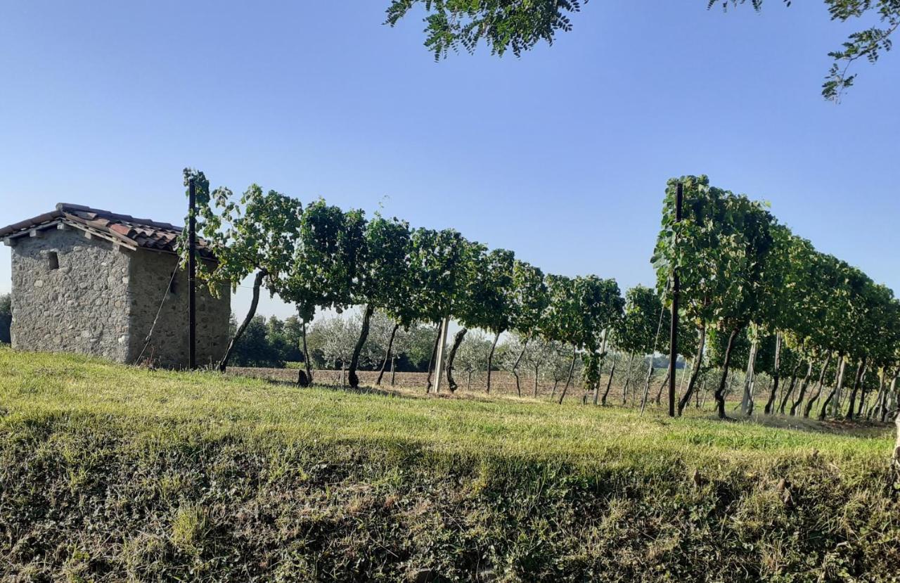 Vicolo Del Nido *